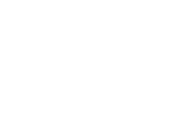 TED, La serie
