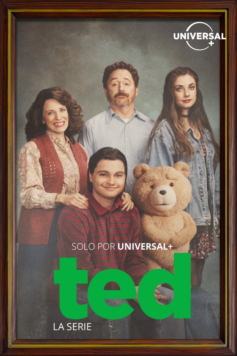 TED, La serie