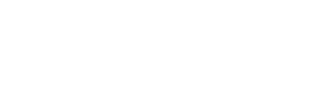 The Assassin